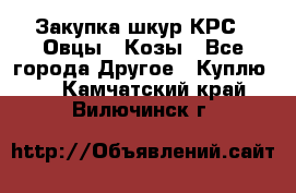 Закупка шкур КРС , Овцы , Козы - Все города Другое » Куплю   . Камчатский край,Вилючинск г.